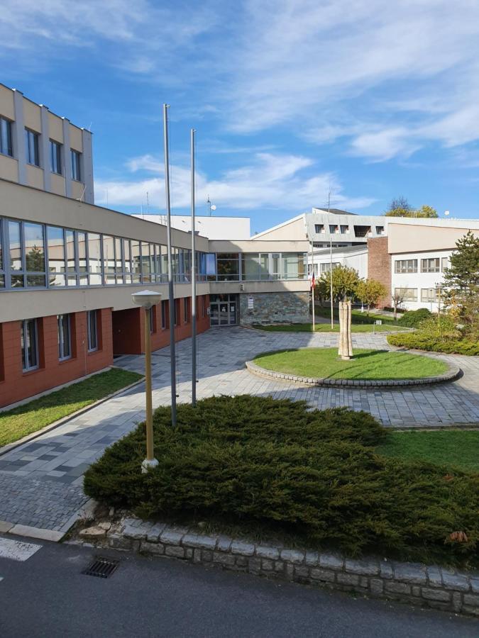 Apartmany U Lva Prachatice Exterior photo